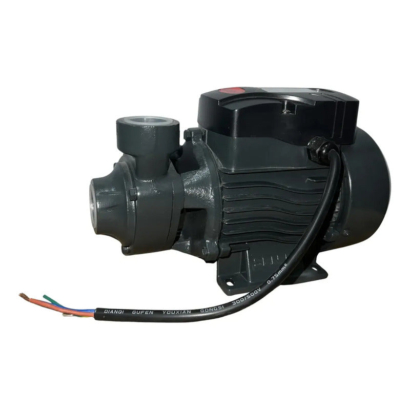 Bomba De Agua Periférica Eléctrica 1/2 Hp Hogar Qb60a Gris Oscuro 60 Hz Monofásica